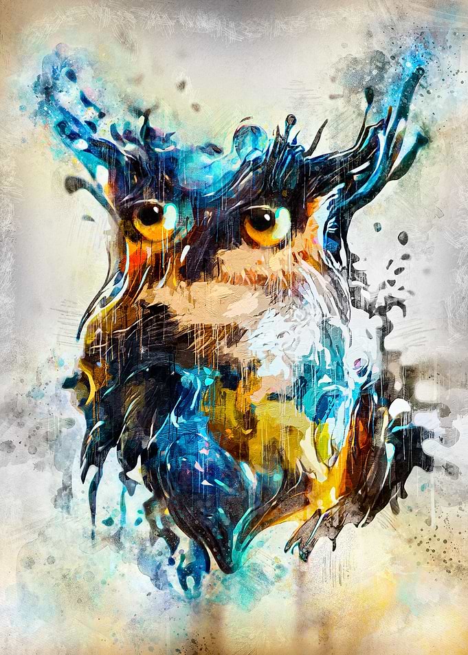 Owl