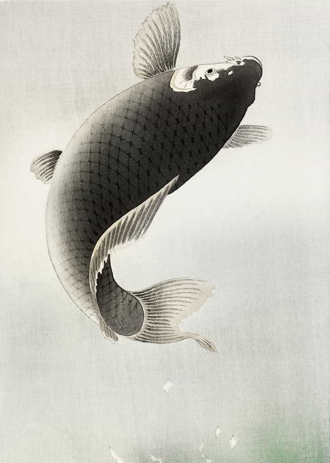 Leaping carp 1900