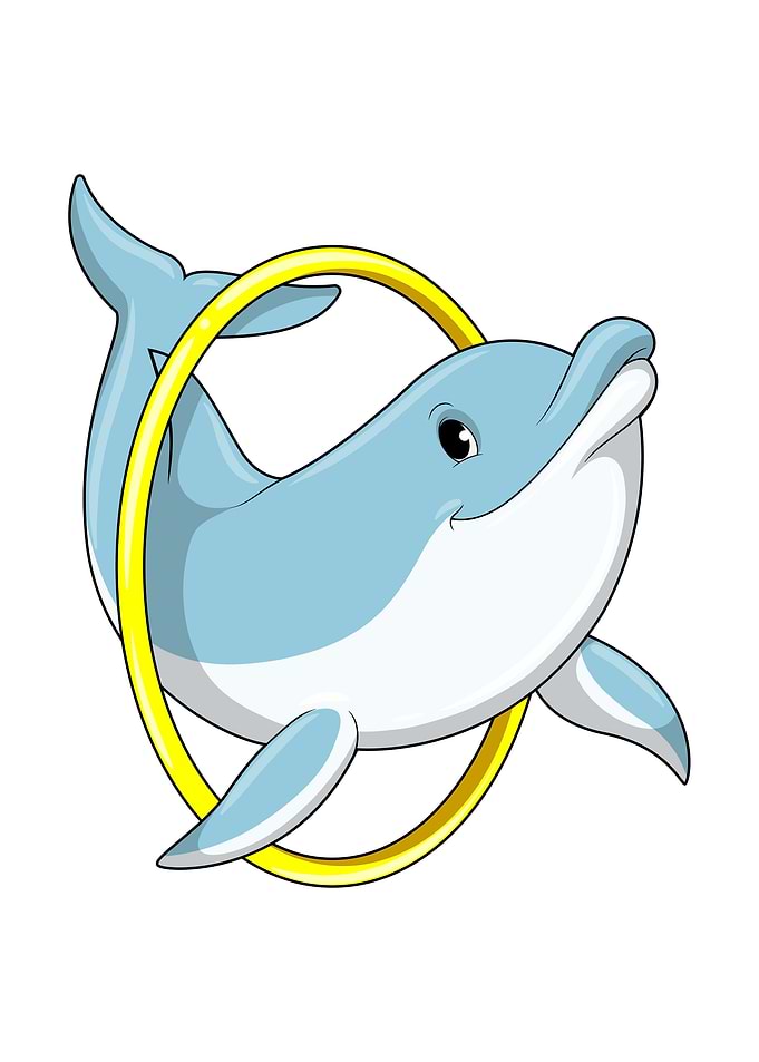 Dolphin Swimming Ring