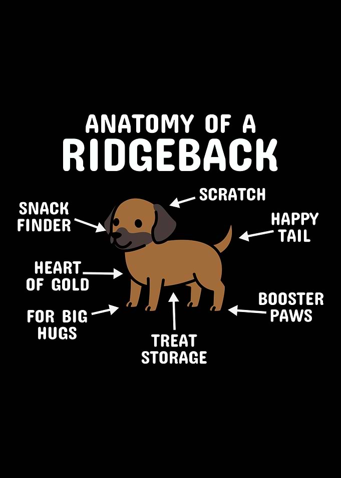 Anatomy Of A Rhodesian