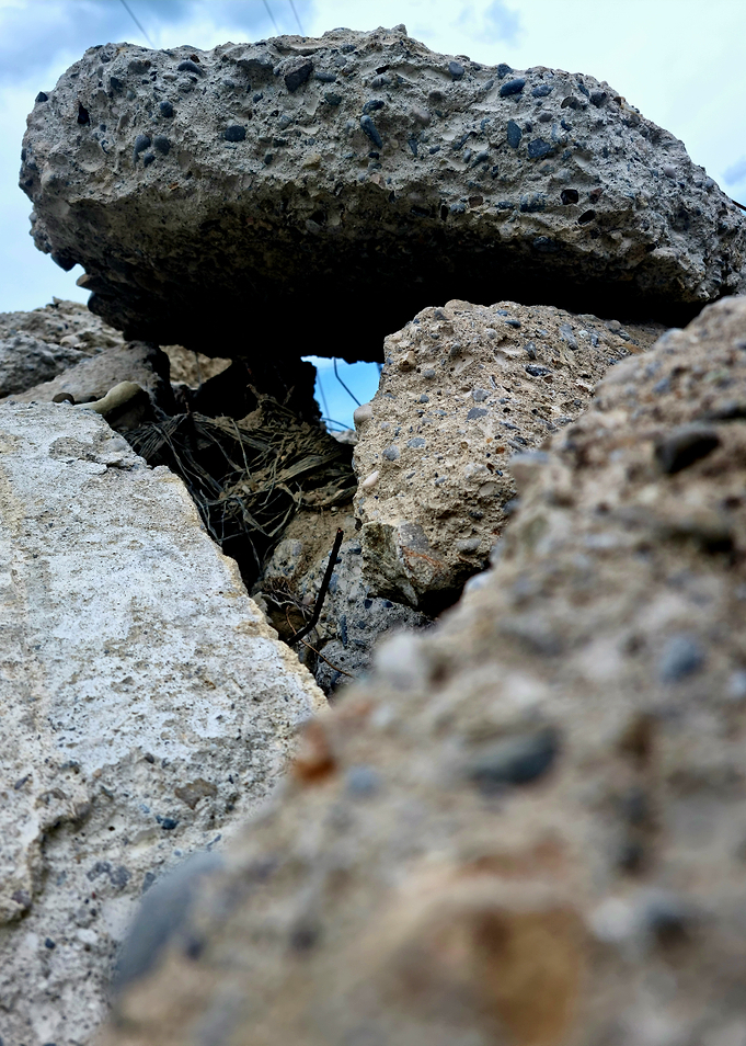 Bear stone