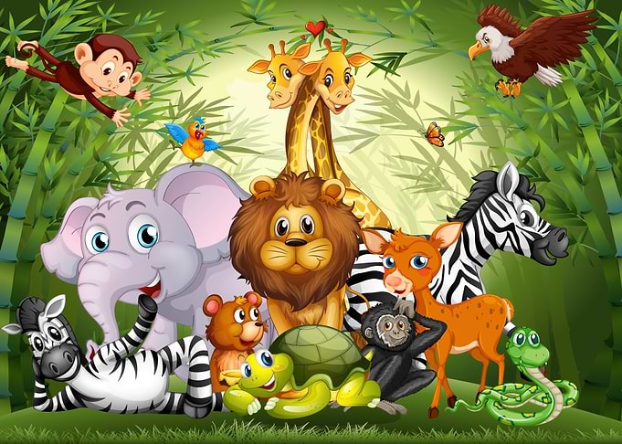 Cute Animals