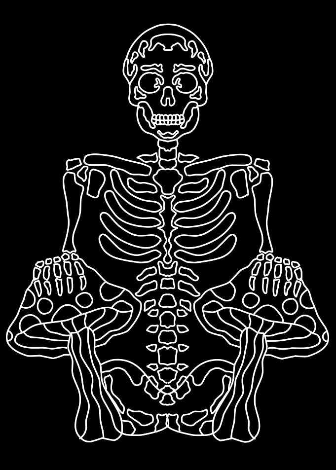 skeleton bones mushroom