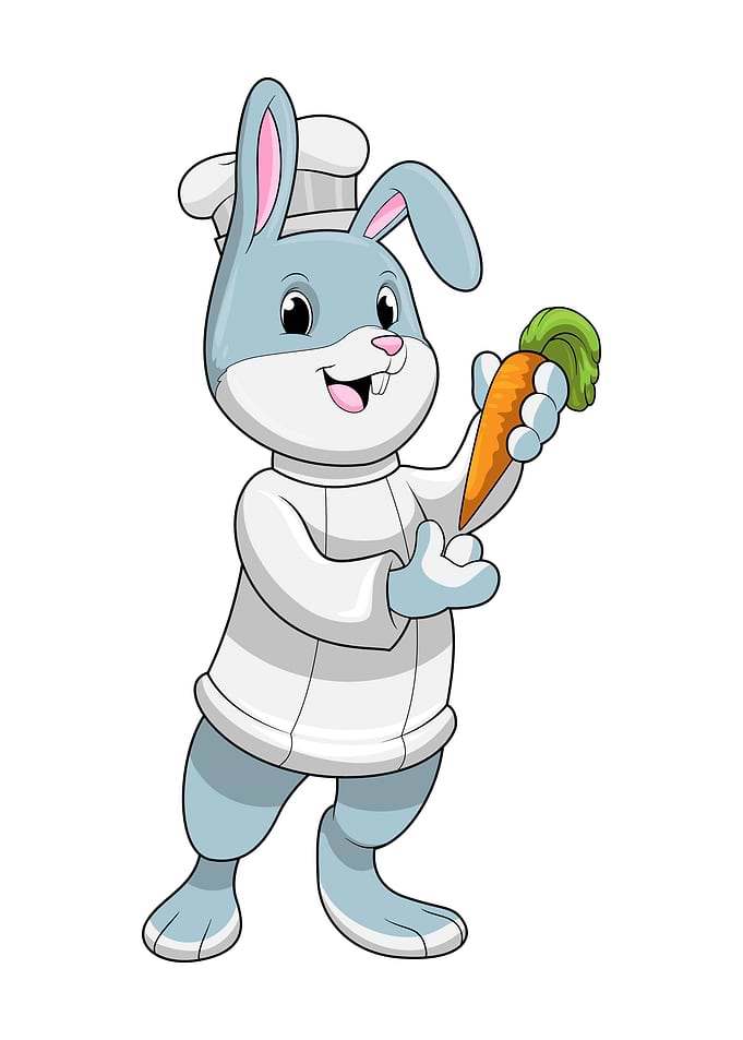 Rabbit Cook Carrot