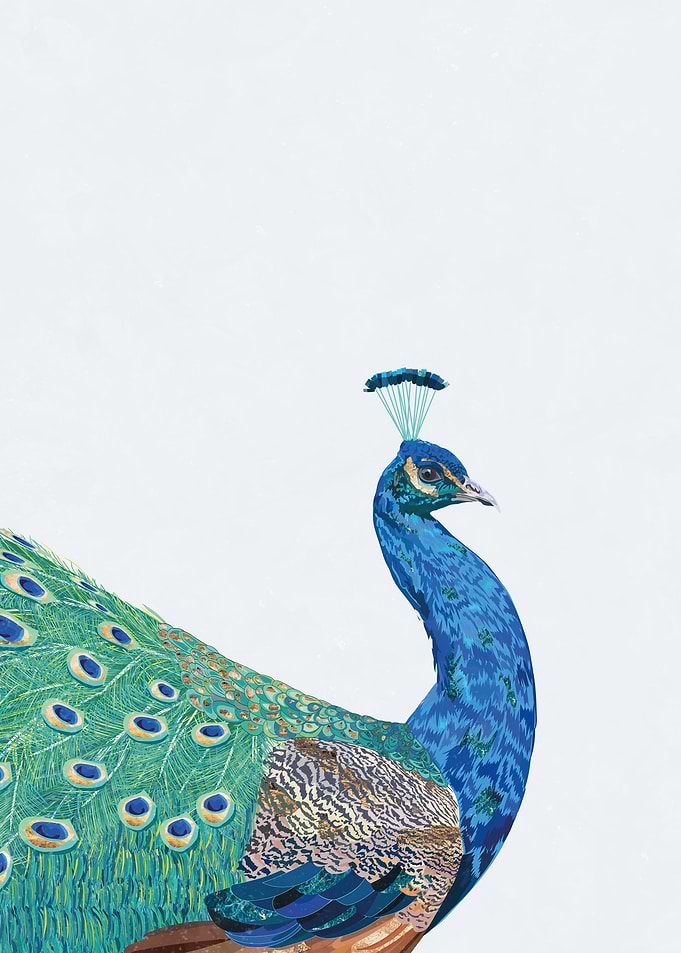 Golden Peacock 2