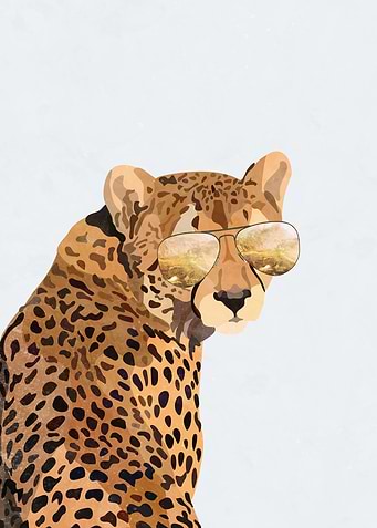 Top Gun Gold White Cheetah