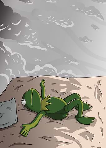 Overthinking Frog Memes