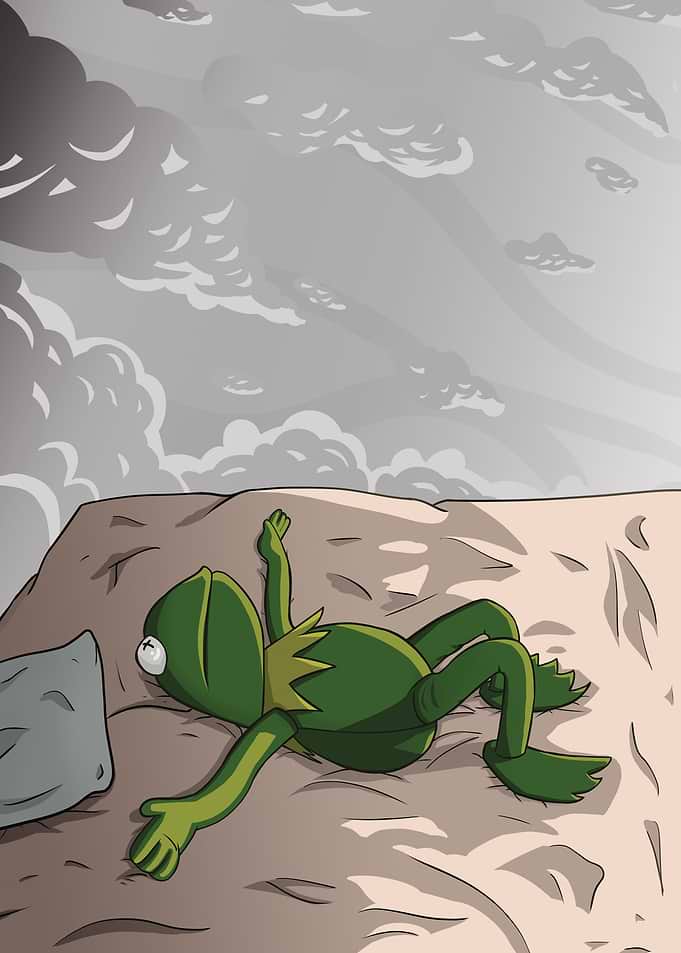 Overthinking Frog Memes