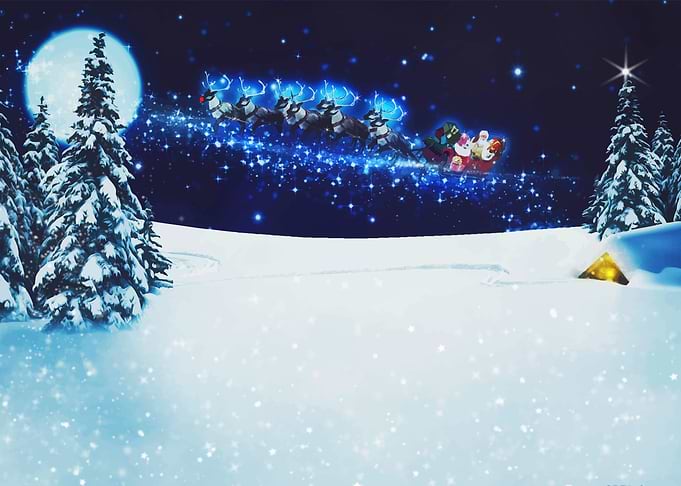 Christmas spirit