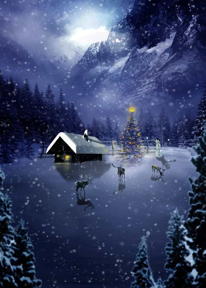 Christmas spirit