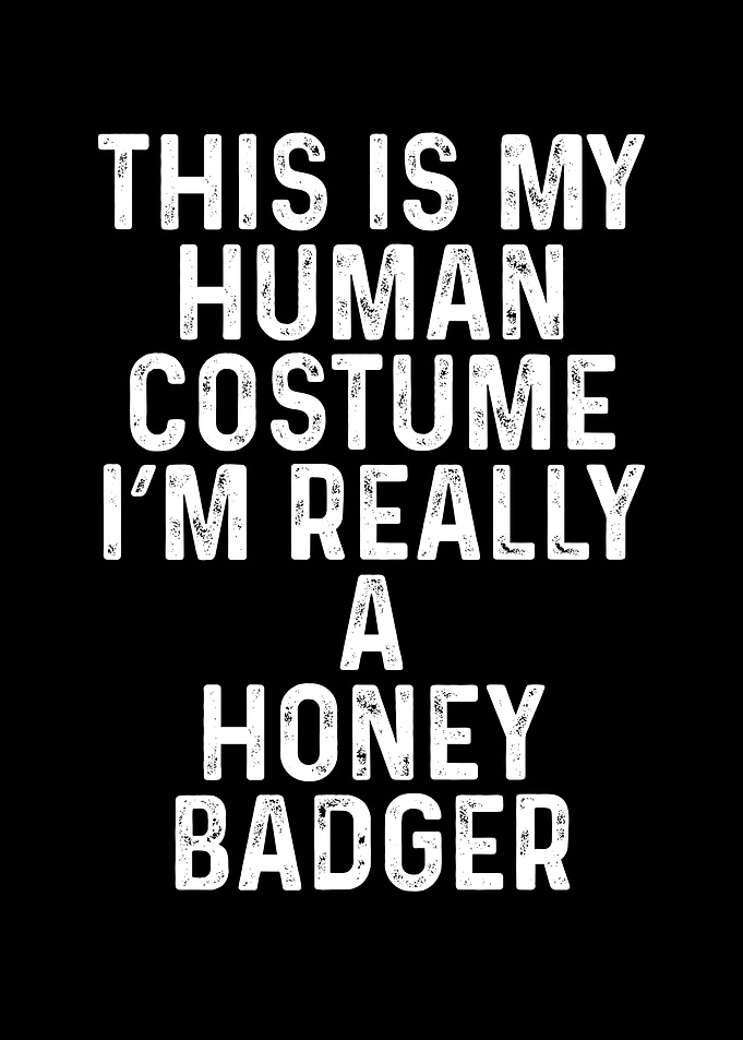 Honey badger costume