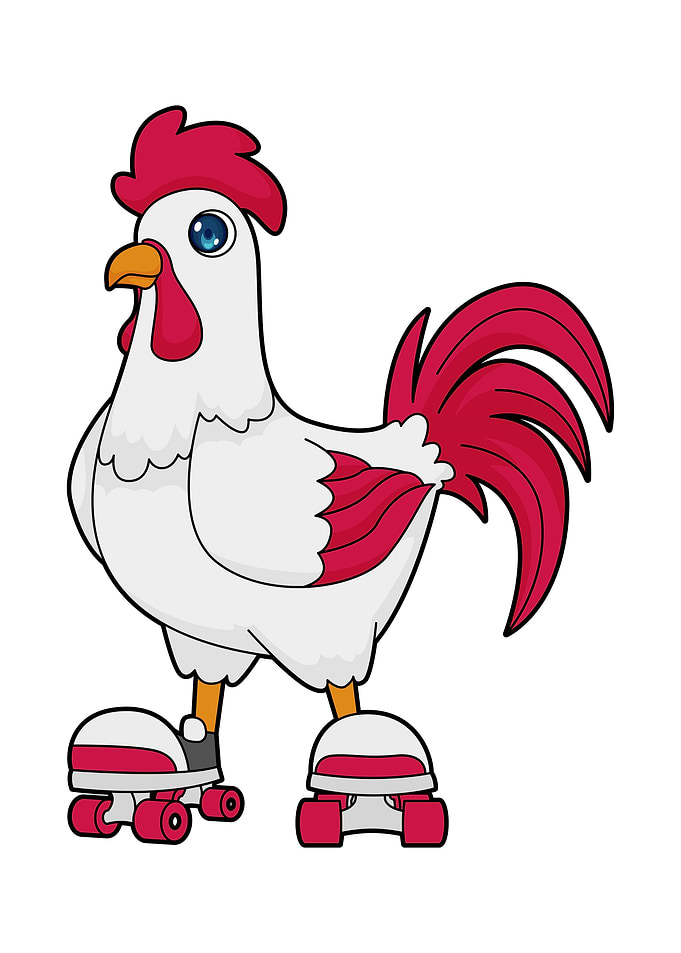 Rooster Inline skating