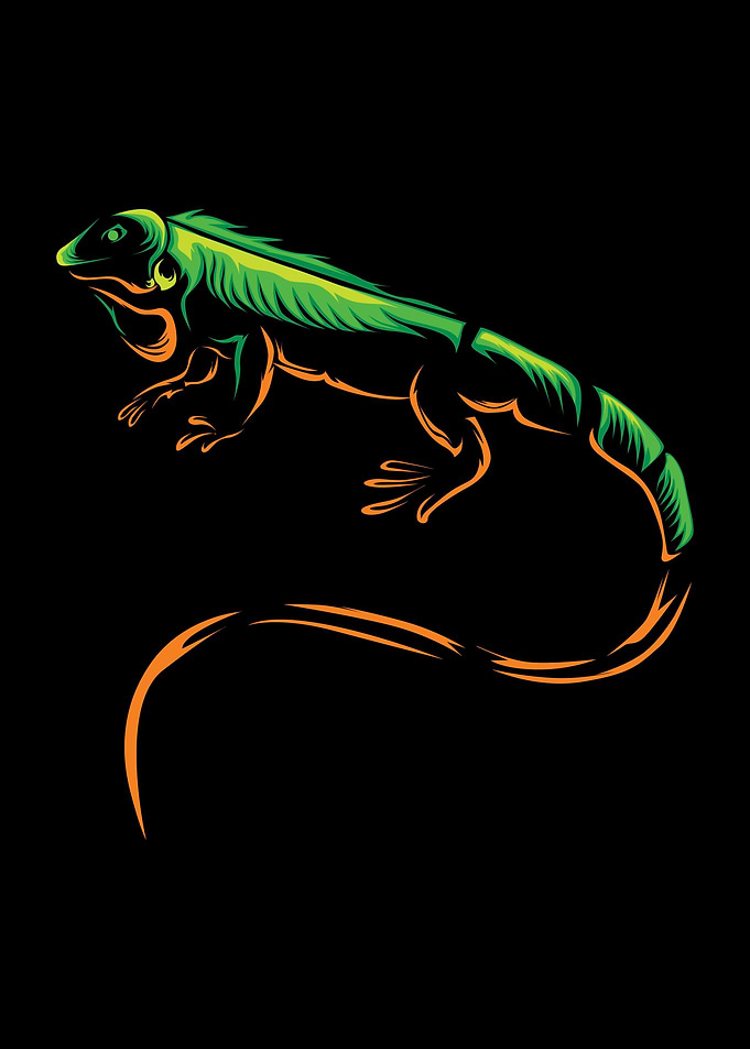 Reptile Iguana