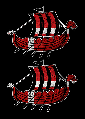 Danish Flag Viking Ship