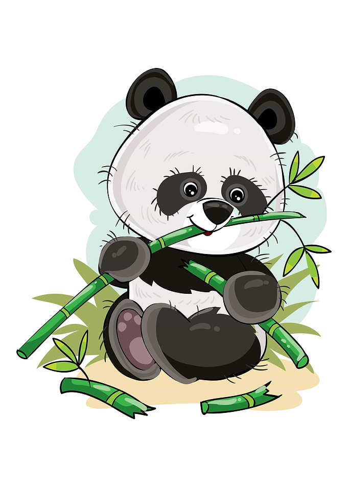 Panda bear baby