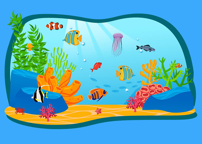 Aquarium Fishes