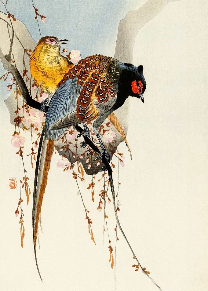Pheasant couple and plum