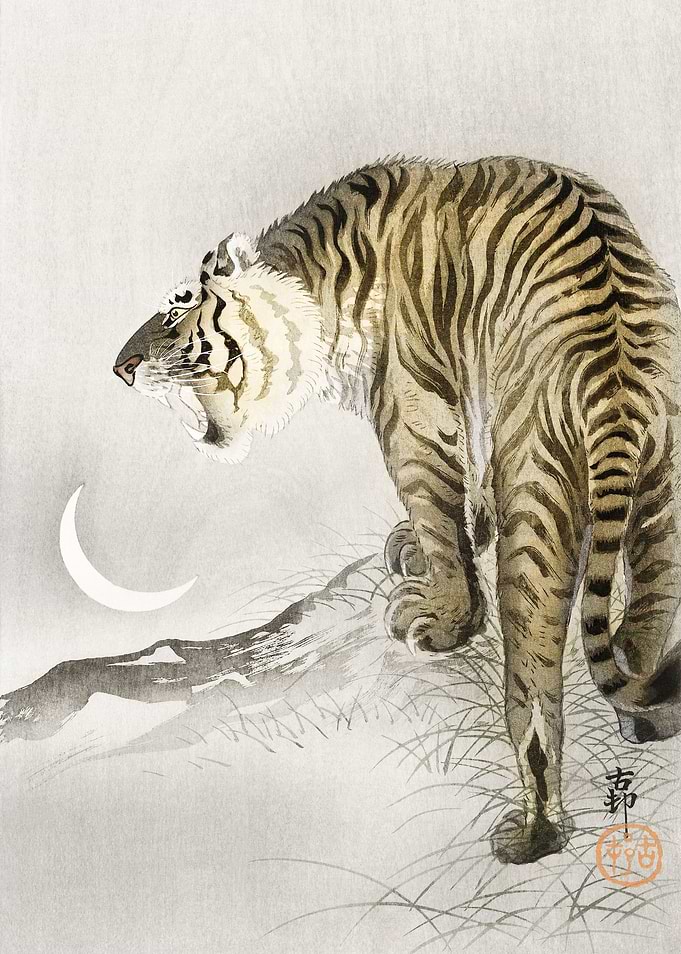 Roaring tiger 1900