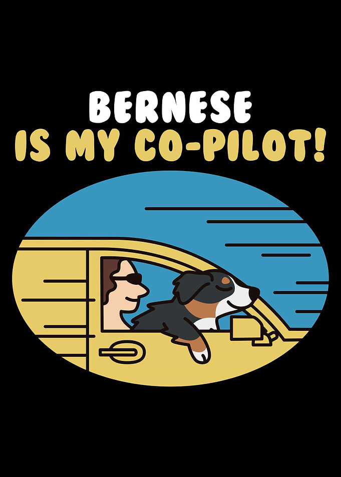 Bernese Mountain CoPilot