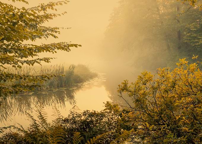 Foggy morning