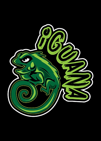 Iguana Lizard