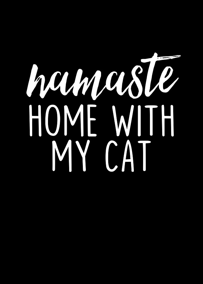 Namaste Home With My Cat
