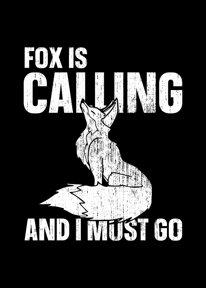 Fox Foxes