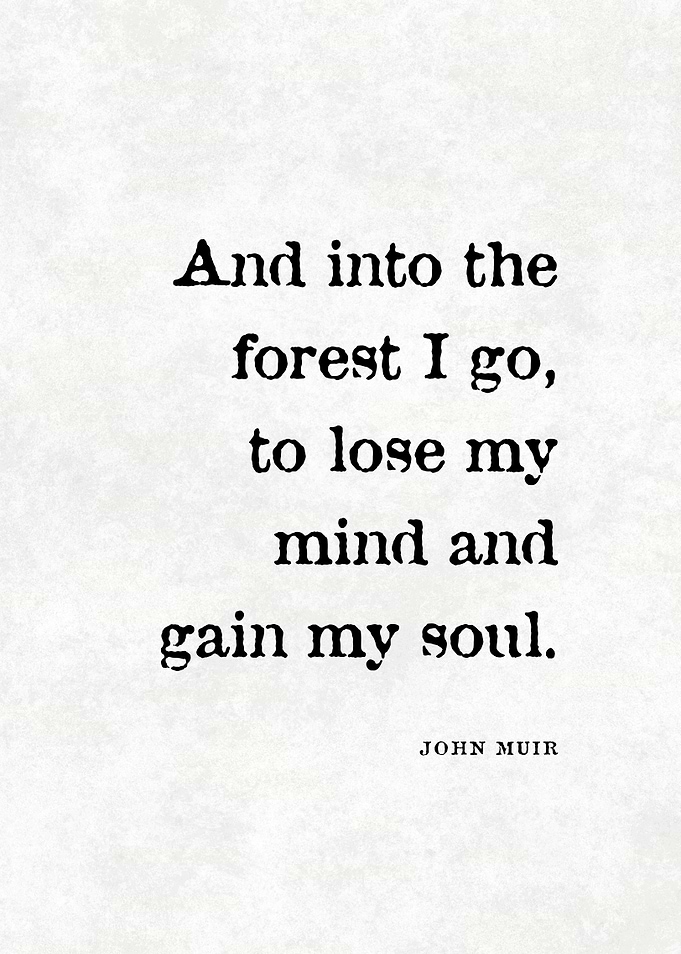 John Muir Quote
