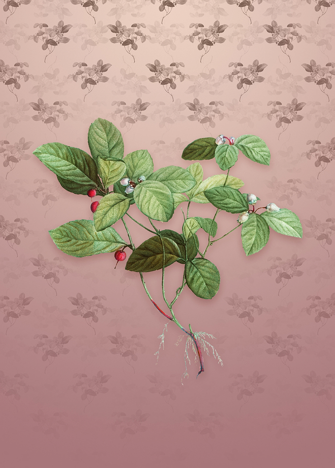 American Wintergreen Plant