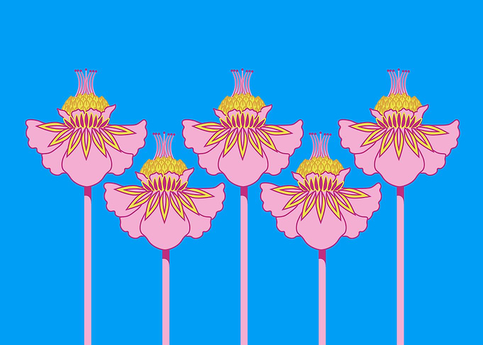 Indian Exotic Pink Flowers