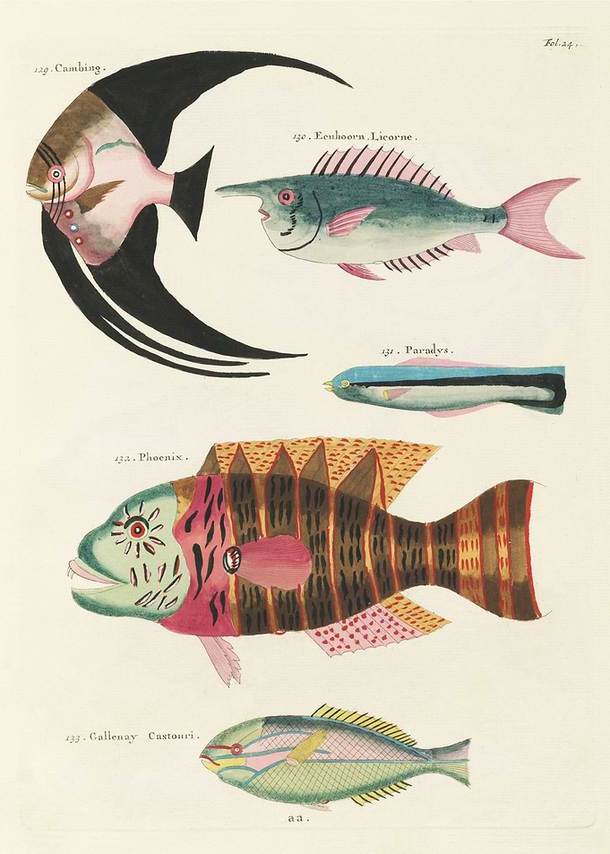 Illustrated Surreal Fishes