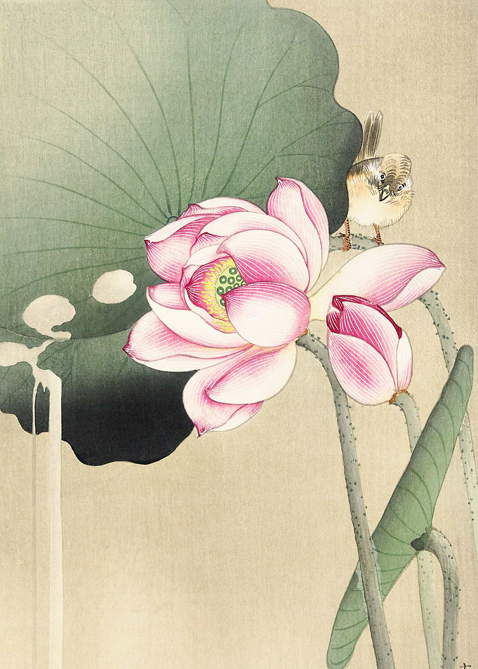 Songbird and Lotus 1900