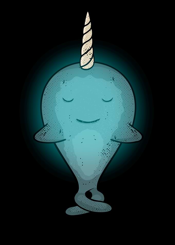 Meditating Narwal Gift