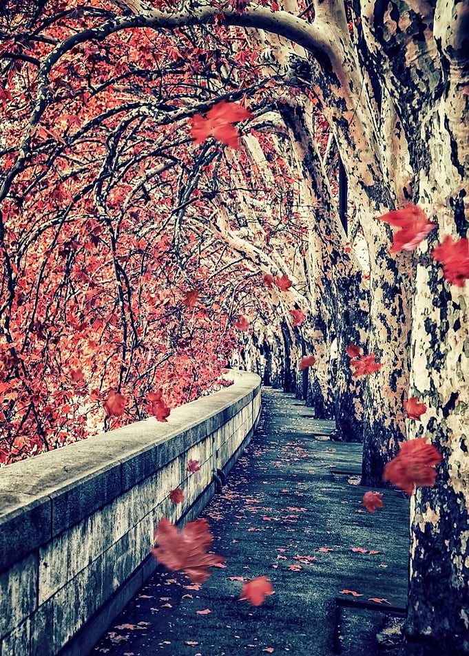 Rome At fall