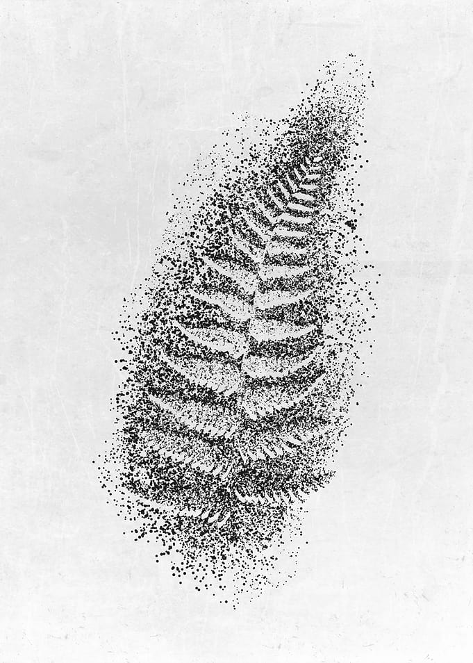 Fern