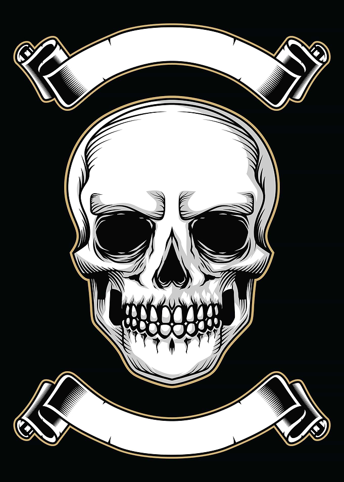 skull vintage banner