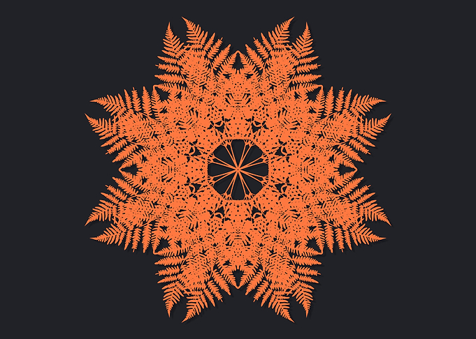 Fern