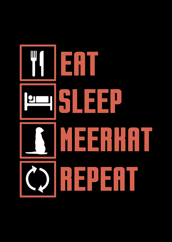 Meerkat
