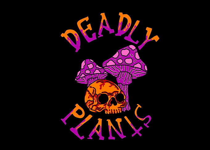 dead mushroom plant