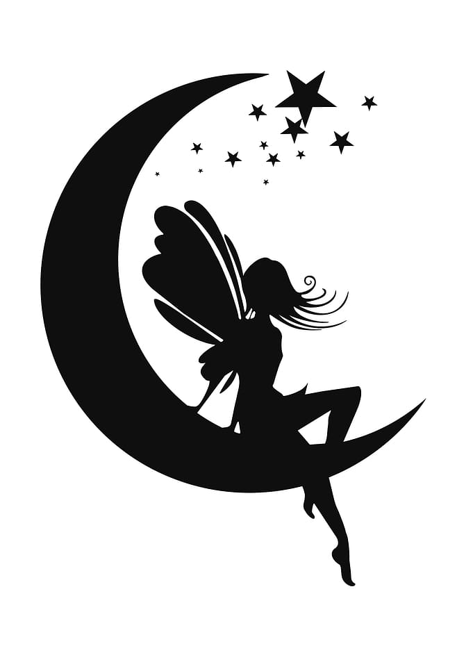 Fairy
