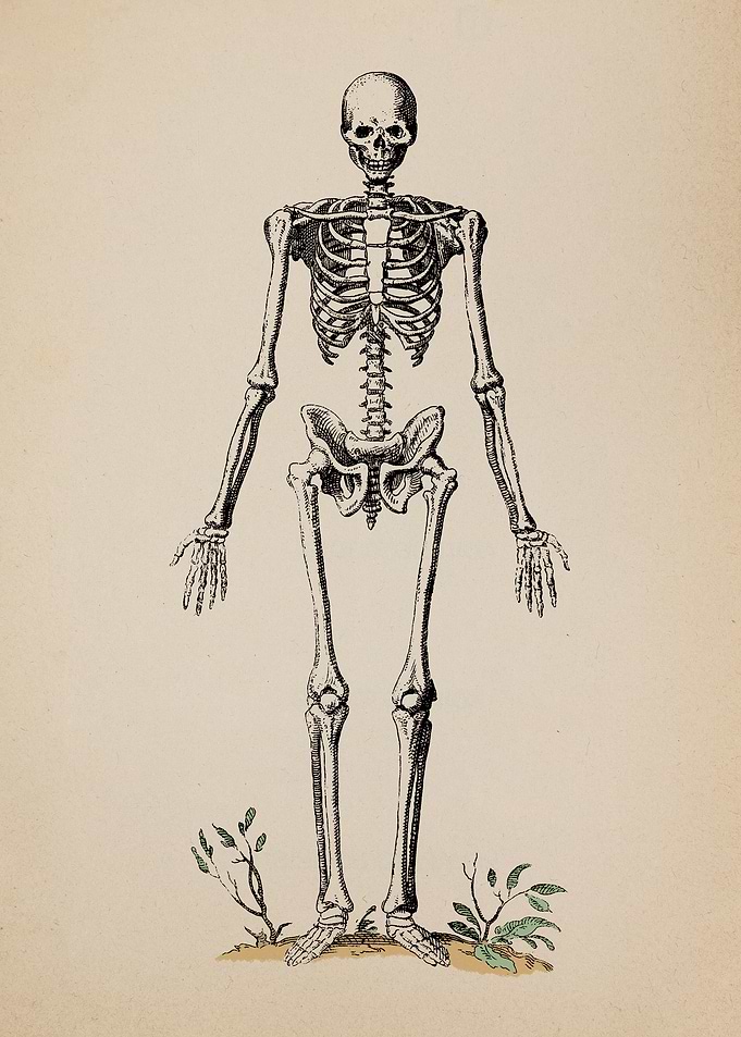 The Study of Man III