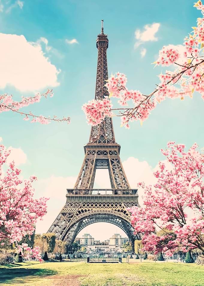 Paris Sakura