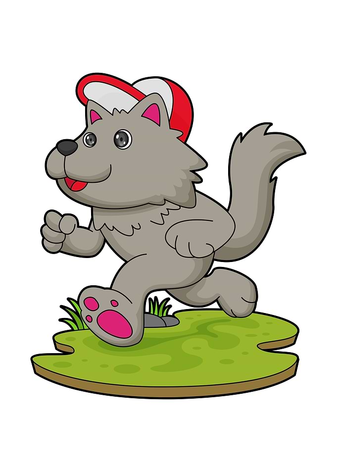Dog Running Cap