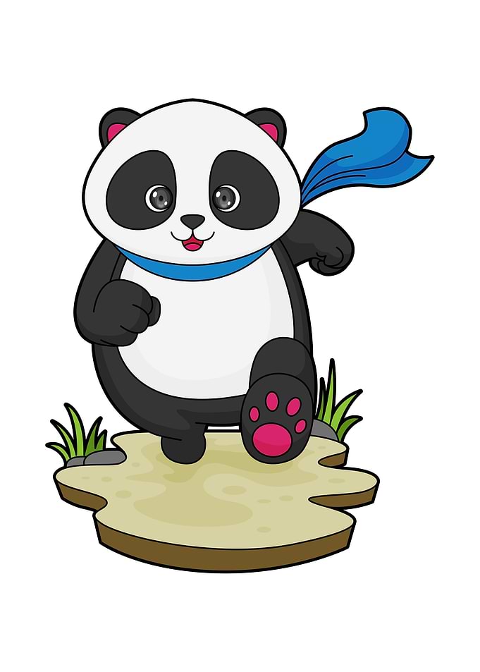 Panda Running Sports