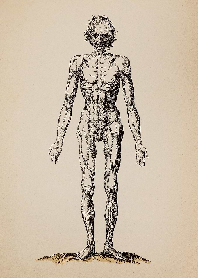 The Study of Man I
