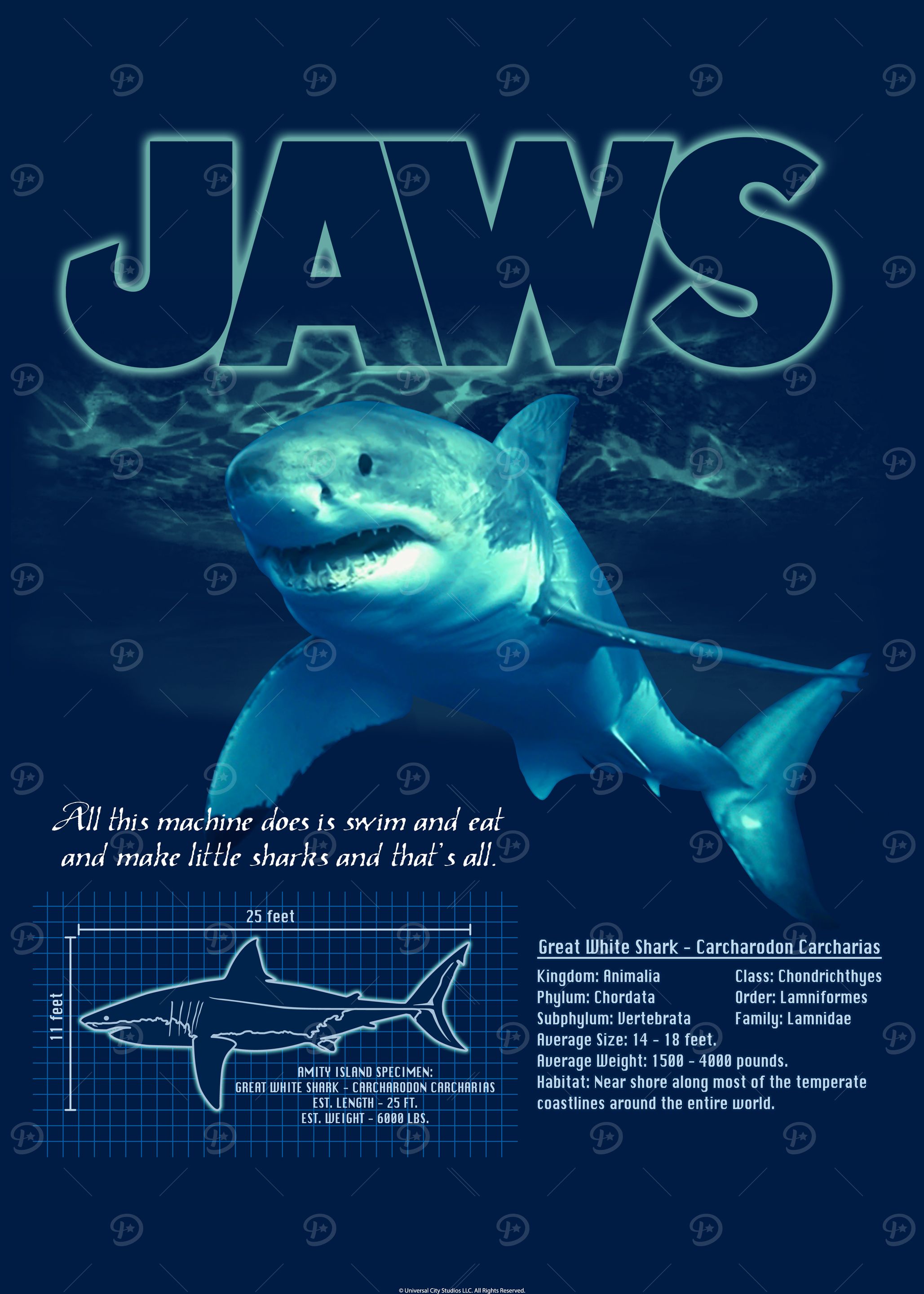 Great White Shark