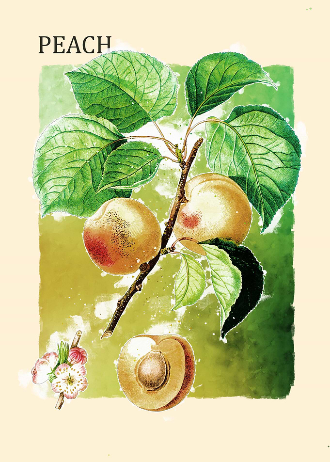 Peach