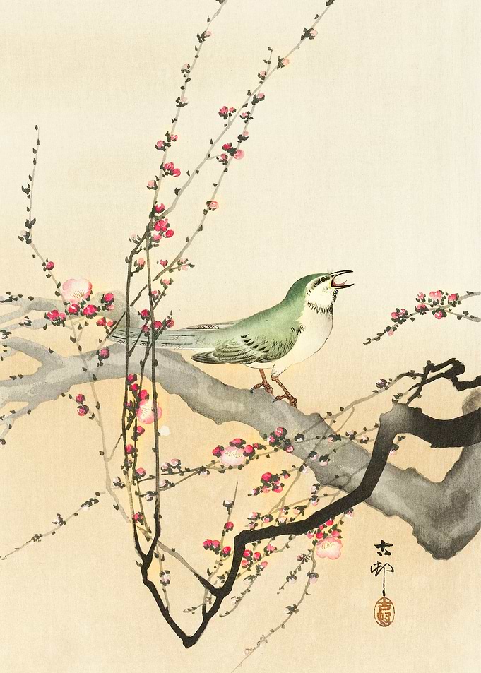 Songbird and plum blossom