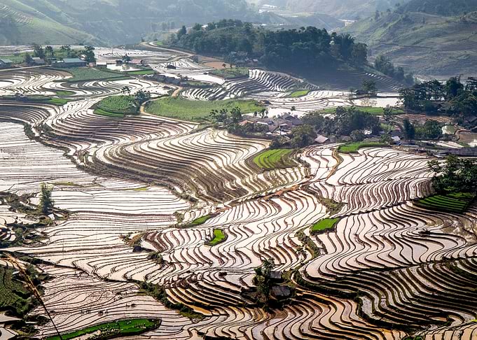 Landscape of rice terraces