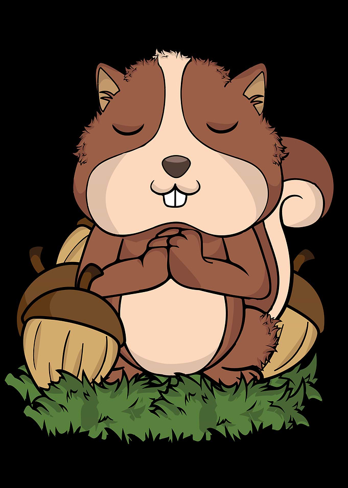 Meditating Squirrel Yoga